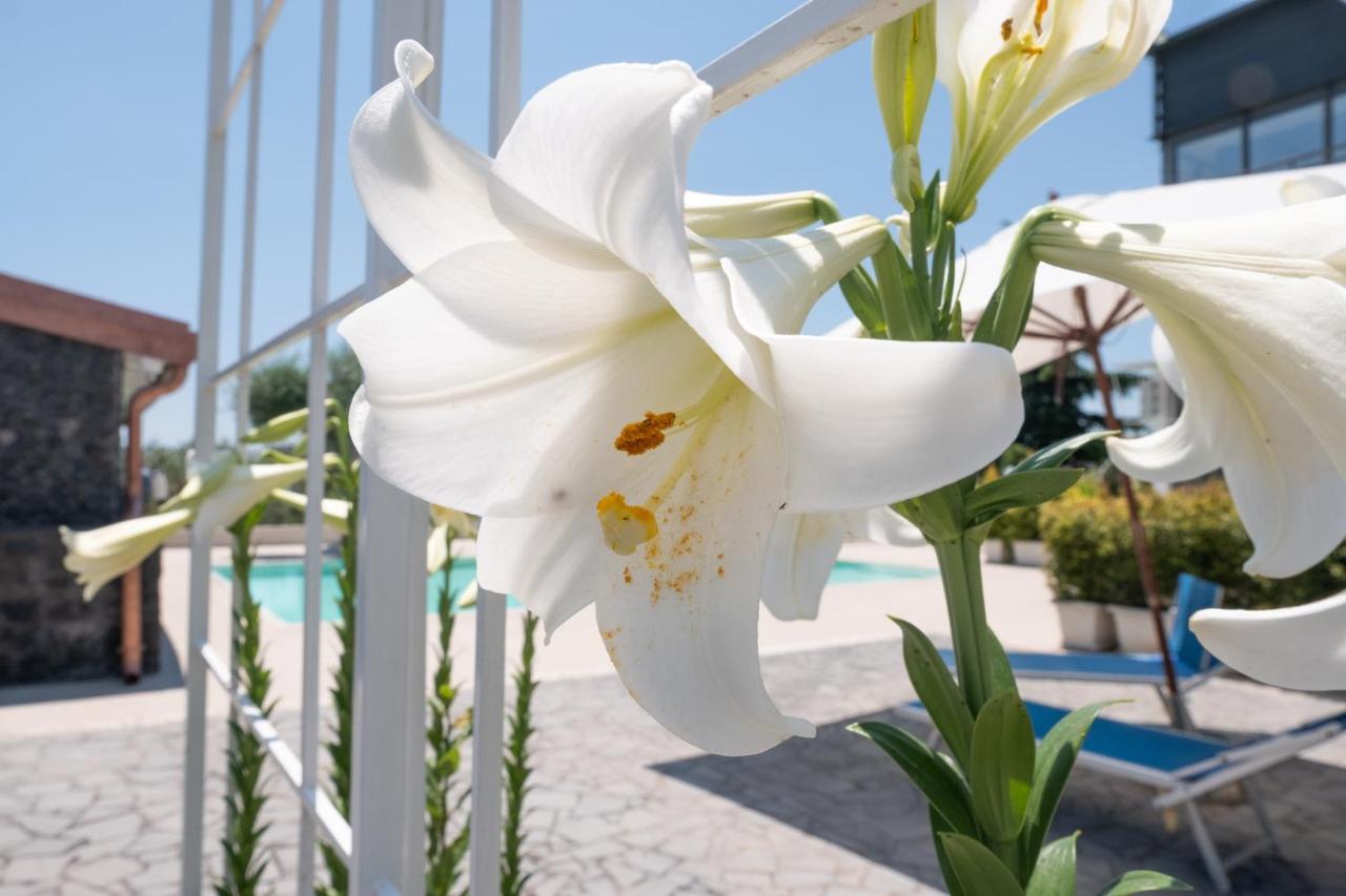 Lux Suite Sicily Mascalucia Eksteriør bilde